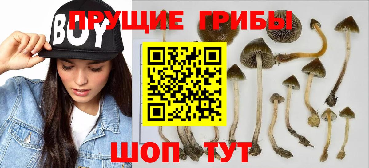 Галлюциногенные грибы прущие грибы Джанкой